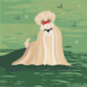 Meet your Posher, Alana